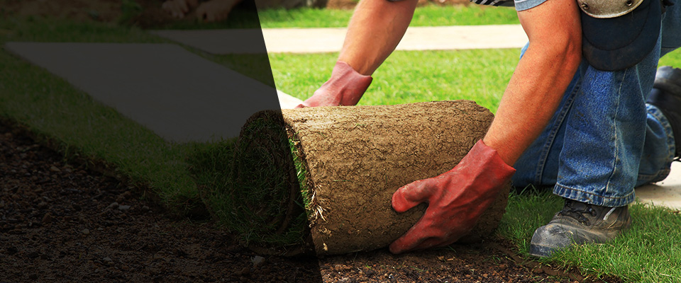 Athens Landscapers